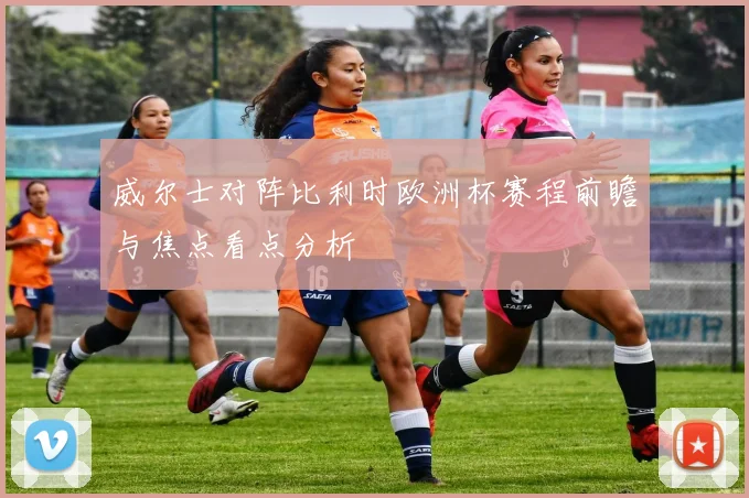 威尔士对阵比利时欧洲杯赛程前瞻与焦点看点分析