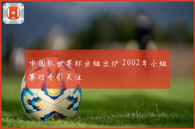 中国队世界杯分组出炉 2002年小组赛对手引关注