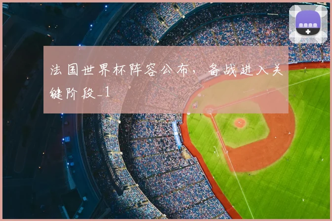 法国世界杯阵容公布，备战进入关键阶段_1