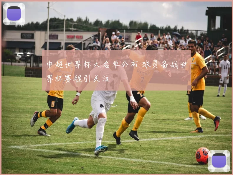 中超世界杯大名单公布 球员备战世界杯赛程引关注