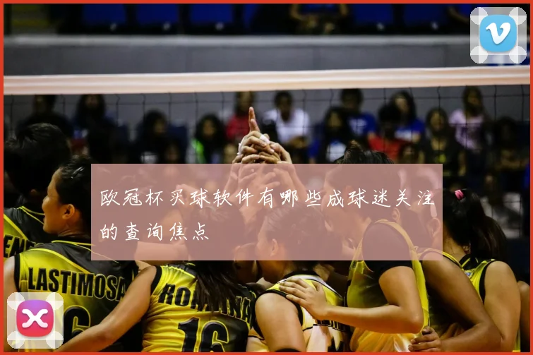 欧冠杯买球软件有哪些成球迷关注的查询焦点