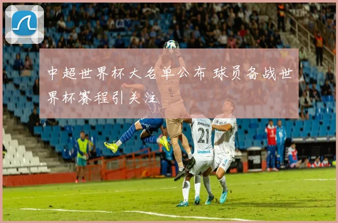 中超世界杯大名单公布 球员备战世界杯赛程引关注