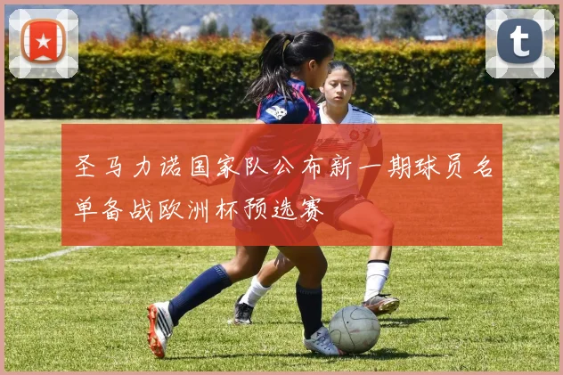 圣马力诺国家队公布新一期球员名单备战欧洲杯预选赛