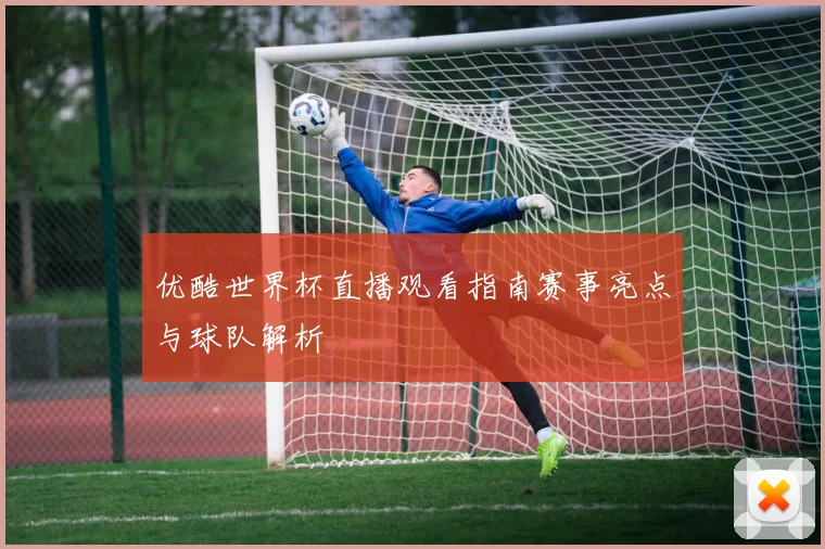 优酷世界杯直播观看指南赛事亮点与球队解析