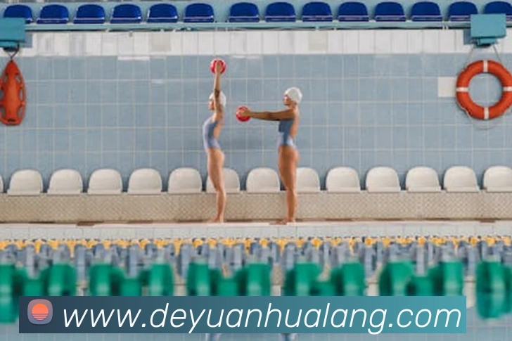 开云app在线官网平台生态图